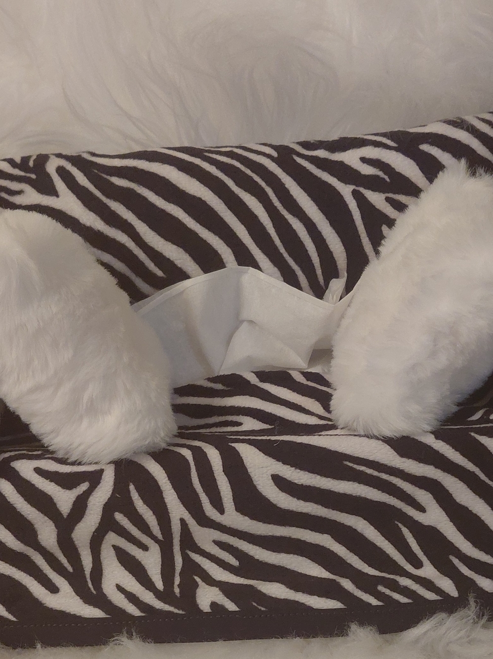 Plush Zebra Print Decorative Pillow Cover with White Faux Fur Accents